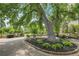 Beautifully landscaped courtyard with outdoor seating and a large shade tree at 7865 E Mississippi Ave # 602, Denver, CO 80247