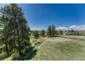Vast backyard with mature trees, open space and clear blue sky at 10534 Inspiration Dr, Parker, CO 80138
