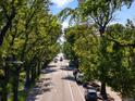 Scenic view of a wide street lined with mature trees, offering a tranquil and inviting atmosphere at 3739 W 46Th Ave, Denver, CO 80211