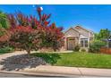 Charming home featuring a well-maintained lawn and attractive landscaping at 3494 S Otis Ct, Lakewood, CO 80227