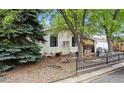 Landscaped front yard featuring decorative plants, trees, and rock ground cover at 6314 W 92Nd Pl, Westminster, CO 80031