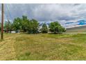 Expansive property featuring a large grassy area, mature trees, a white fence, and outbuildings under a cloudy sky at 7684 Beverly Blvd, Castle Pines, CO 80108