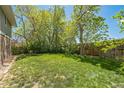 Expansive backyard with lush green grass and mature trees, perfect for outdoor activities at 8150 W Calhoun Dr, Littleton, CO 80123