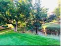 Scenic backyard with lush greenery, mature trees, and a tranquil creek at 8039 Lee Dr # 2, Arvada, CO 80005