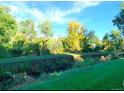 Lush backyard showcasing a vibrant green space, mature trees, and a tranquil creek running through the property at 8039 Lee Dr # 2, Arvada, CO 80005