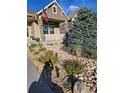 Landscaped front yard featuring rock garden, lush shrubbery, and a beautiful pine tree at 1815 Avery Way, Castle Rock, CO 80109
