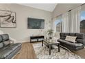 Comfortable living room with modern decor, large screen TV, and plenty of natural light at 16878 Dandelion Way, Parker, CO 80134