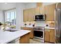 Well-lit kitchen with modern appliances, including a stainless steel range, ample counter space, and a stylish faucet at 2855 S Pancratia St, Denver, CO 80236