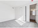 Bright bedroom featuring carpet, a large closet, and a view of the ensuite bathroom at 9122 Telluride Ct, Commerce City, CO 80022