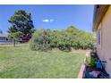 Expansive backyard with mature trees, lush lawn, and a partial brick border at 749 Westward Ln, Palmer Lake, CO 80133