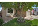 Inviting home exterior with mature tree, lush lawn, and beautiful landscaping around the walkway at 12513 Alcott St, Broomfield, CO 80020
