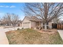 Attractive home with three-car garage, well-maintained lawn, mature tree, and a welcoming entryway at 2687 E 124Th Pl, Thornton, CO 80241