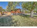 Backyard view of the property with mature trees providing shade, a wooden privacy fence, and healthy green grass at 975 S Queen Way, Lakewood, CO 80226
