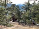 Exterior of a house nestled among trees with a view of mountains in the distance at 4924 S Indian Trail, Evergreen, CO 80439
