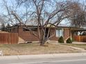 Brick ranch home with mature trees and a fenced yard at 11310 Irma Dr, Northglenn, CO 80233