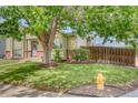A lush green lawn and mature trees accent the home's exterior at 4302 Nepal St, Denver, CO 80249