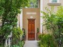 Charming exterior view of a carved wooden door with decorative plants adding to the curb appeal of the home at 425 Steele St, Denver, CO 80206