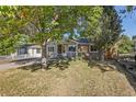 Gray Ranch style home with a tree in the front yard at 4240 Harlan St, Wheat Ridge, CO 80033