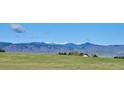 Scenic view of rolling green hills and snow-capped mountain peaks on the horizon at 10751 Manorstone Dr, Highlands Ranch, CO 80126