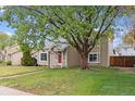 Charming home with well-maintained lawn, mature tree, and red front door at 21125 E 43Rd Ave, Denver, CO 80249