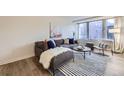 Bright living room featuring a plush sofa, modern decor, and stylish area rug at 789 N Clarkson St # 201, Denver, CO 80218