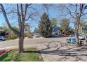Nice street view with well-maintained homes and mature trees, creating a welcoming atmosphere at 291 W Sycamore Ln, Louisville, CO 80027