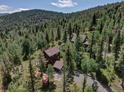 Aerial view of a wooded property featuring a charming home nestled among lush green trees with a long driveway at 10438 Sunlight Ln, Conifer, CO 80433
