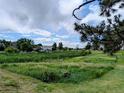 Scenic view of the community's lush green space under a partly cloudy sky at 17361 E Mansfield Ave # 532R, Aurora, CO 80013