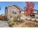 Charming home with stone accents, red shutters, and beautiful landscaping create an inviting curb appeal at 5385 Warrior St, Frederick, CO 80504