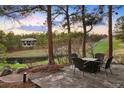 Outdoor patio with seating, overlooking a tranquil pond and golf course at 67 Indigo Way, Castle Rock, CO 80108