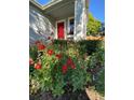 Charming home featuring a vibrant red door, complemented by a lush garden bursting with red and orange flowers at 742 Mockingbird Ln, Brighton, CO 80601