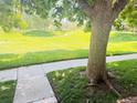 Expansive green lawn with mature tree offering shade and a tranquil neighborhood setting at 9255 E Lehigh # 213, Denver, CO 80237
