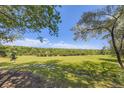 Lush green backyard featuring mature trees and landscaping, offering privacy at 34 S Raleigh St, Denver, CO 80219
