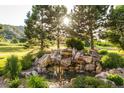 Serene backyard water feature with lush landscaping and natural rock formations at 9977 Elkhorn St, Littleton, CO 80127