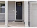 Home exterior showcasing the front door with modern architectural details at 2351 Monte Vista St, Fort Lupton, CO 80621