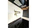 Close-up of a gourmet kitchen's pot filler faucet and sleek induction cooktop at 1435 N Uinta St, Denver, CO 80220