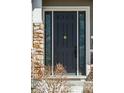Elegant front door with decorative glass sidelights and stone surround, enhancing the home's curb appeal at 14160 Ivanhoe St, Thornton, CO 80602