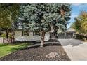 Charming single-story home with a large tree in the front yard and well-maintained landscaping at 2395 W Davies Ave, Littleton, CO 80120