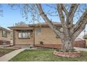 Brick home with mature tree, complemented by a well-kept lawn and a classic design at 4840 Depew St, Denver, CO 80212