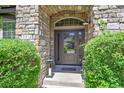 Elegant front door with stone surround and glass accents, nestled amidst lush greenery at 3311 Klondike Pl, Castle Rock, CO 80108