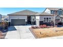 Charming single-Gathering home with a well-manicured lawn and an attached two-car garage at 20249 Terrace View Dr, Parker, CO 80134