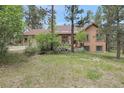 Beautiful single-Gathering home with mature landscaping, a circular driveway, and a well-maintained lawn at 171 Columbine St, Larkspur, CO 80118