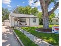 Inviting front yard with a well-maintained lawn and a beautiful shade tree at 3218 S Lafayette St, Englewood, CO 80113