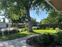 Landscaped front yard featuring a mature tree and a well-manicured lawn at 290 Pierce St, Lakewood, CO 80226