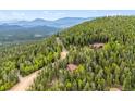 Stunning aerial view showcasing the home nestled in lush greenery with mountain views at 11457 Nancys Dr, Conifer, CO 80433