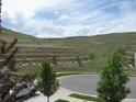 View of backyard hillside landscaping and retaining walls overlooking street at 10488 Bluffmont Dr, Lone Tree, CO 80124