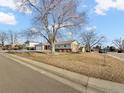 Landscaped lot with a spacious ranch home and large tree at 7746 S Gray St, Littleton, CO 80128