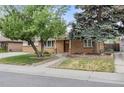 Charming brick home featuring a spacious front yard with mature tree at 4629 Estes St, Wheat Ridge, CO 80033