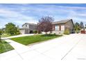 Suburban home with a large manicured lawn, mature tree, and long driveway leading to an attached garage at 3419 Traver Dr, Broomfield, CO 80023