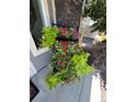 A planter with colorful flowers adds curb appeal to the front of this home at 15878 E Broncos Pl, Englewood, CO 80112